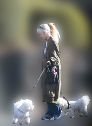 ninaさんと犬の散歩画像